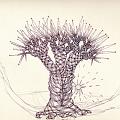 0037.arbol de espadas tif